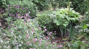 A bog garden